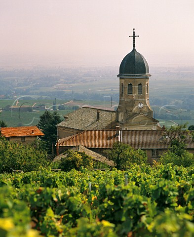 Church at Chiroubles viewed over Clos Verdy vineyard  Rhne France   Chiroubles  Beaujolais