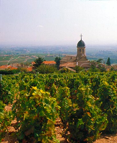 Chiroubles and its church viewed over Clos Verdy   vineyard Rhne France  Chiroubles  Beaujolais