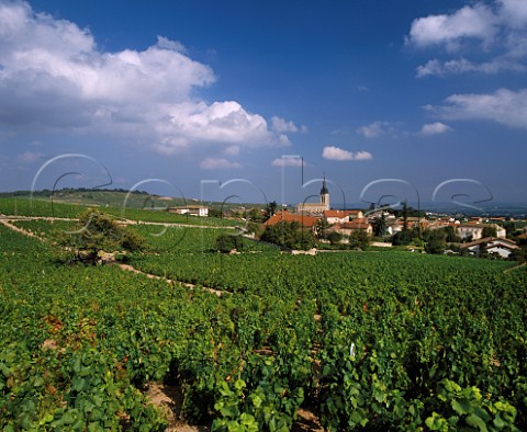 Village of Fleurie surrounded by Gamay vineyards France  Fleurie  Beaujolais