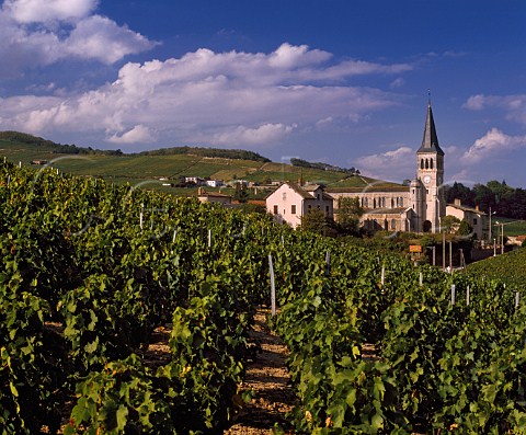 Village of Chnas surrounded by its vineyards   Rhne France   Chnas  MoulinVent    Beaujolais