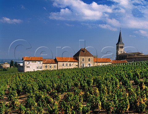 Village of Chnas viewed over vineyard   Rhne France MoulinVent  Beaujolais