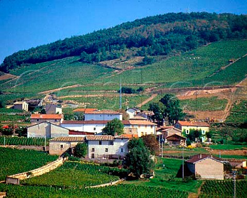 Hamlet of Brouilly surrounded by vineyards on the   slopes of Mont Brouilly Rhne France     Cte de Brouilly  Beaujolais