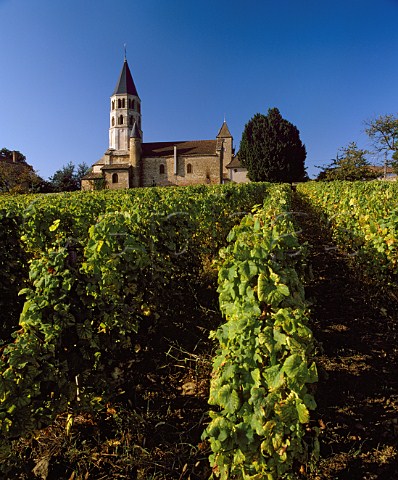 Church above vineyard at Chnes near Chaintr   SaneetLoire France  StVran  Mconnais