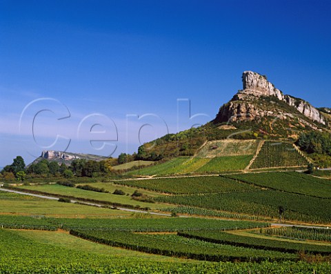 Vineyards below the rock of Solutr with the rock of   Vergisson in the distance   SolutrPouilly SaneetLoire France    PouillyFuiss  Mconnais