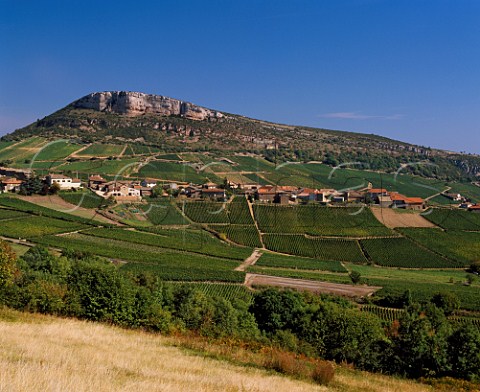 Village and vineyards of Vergisson below its rock SaneetLoire France    PouillyFuiss  Mconnais