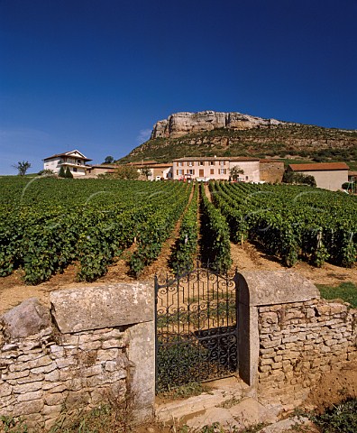 Clos du Martelet vineyard below the Rock of  Vergisson Vergisson SaneetLoire France   PouillyFuiss  Mconnais