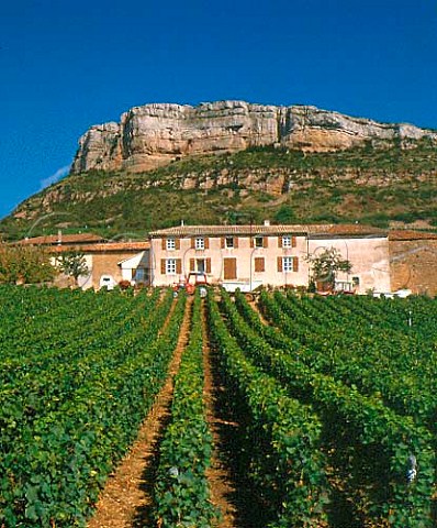 Clos du Martelet vineyard below the rock of   Vergisson SaneetLoire France  PouillyFuiss  Mconnais