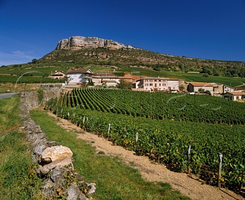 Clos du Martelet vineyard below the rock of  Vergisson SaneetLoire France  PouillyFuiss  Mconnais
