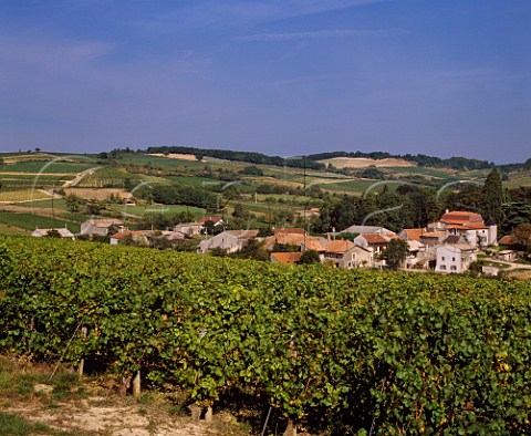 Village of Chardonnay surrounded by its vineyards  SaneetLoire France  MconVillages  Mconnais