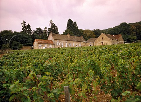 Clos Salamon vineyard Givry SaneetLoire France Cte Chalonnaise