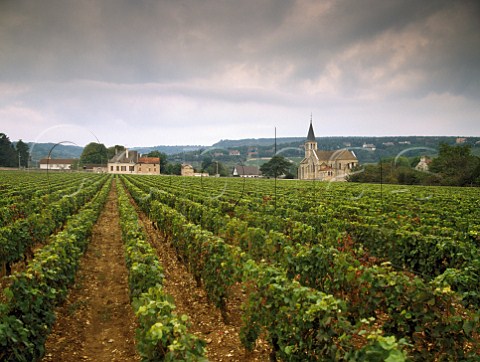 Clos Marceaux vineyard at Poncey near Givry  SaneetLoire France Givry  Cte Chalonnaise