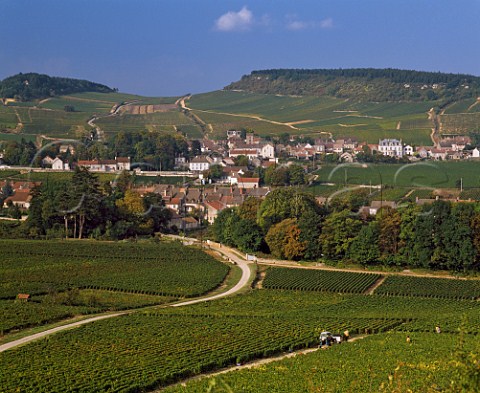 Mercurey surrounded by its vineyards  SaneetLoire France   Cte Chalonnaise