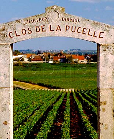 Entrance to Clos de la Pucelle vineyard with village   of PulignyMontrachet beyond Cte dOr France  Cte de Beaune