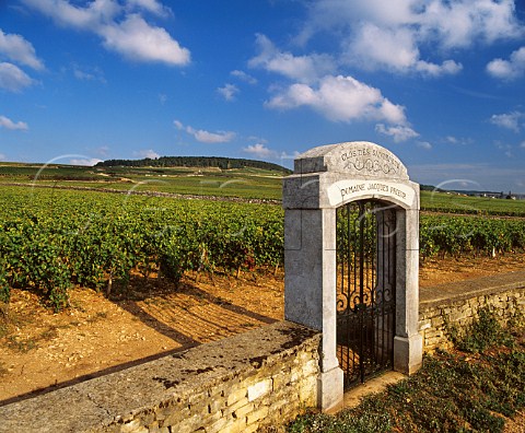 Entrance to Clos des Santenots vineyard of Domaine Jacques Prieur Meursault Cte dOr France Cte de Beaune Premier Cru