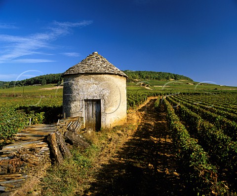 Vineyards and traditional cabotte   SavignylsBeaune Cte dOr France    Cte de Beaune