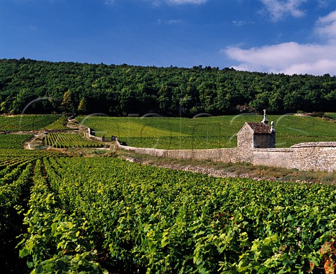 Wall separating the Premier Cru vineyards   of Lavaut Saint Jacques near and Clos StJacques GevreyChambertin Cte dOr France Cte de Nuits