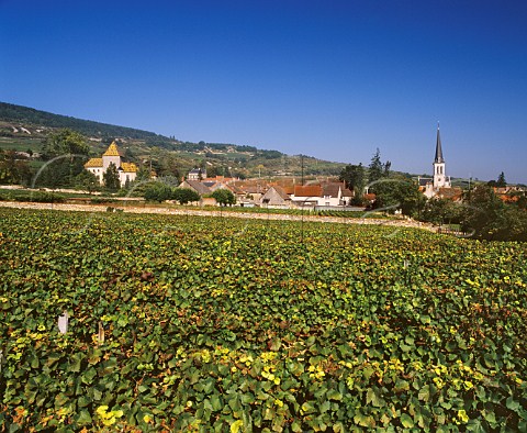 Village of Santenay and Chteau Philippe le Hardi viewed over Clos Genet vineyard Cte dOr France Cte de Beaune