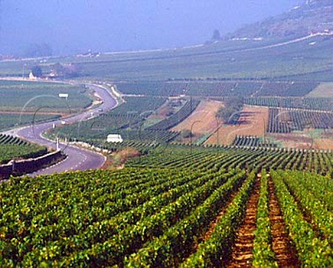 Vineyards of Monthelie with AuxeyDuresses in the   distance Shows parcels of vines some grubbed up   owned by different growers Cote de Beaune