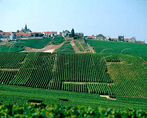 The village of Cramant above vineyards on the   Cte des Blancs Marne France  Champagne