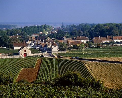 Vougeot village viewed from top of Les Amoureuses   vineyard Cte dOr France    Cte de Nuits