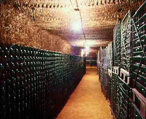 Wine maturation cellar cut from the tuffeau subsoil   at Domaine de Beausejour Panzoult   IndreetLoire France       Chinon