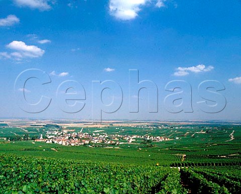 Village of Oger surrounded by its vineyards on the   Cte des Blancs Marne France    Champagne