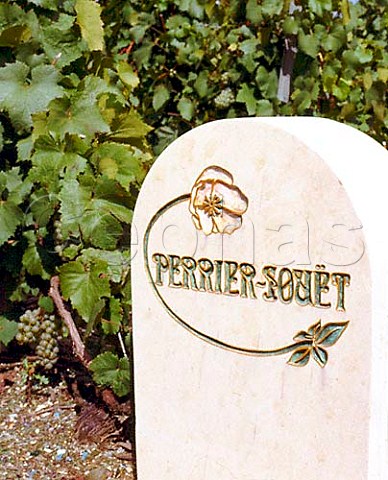 Marker stone of PerrierJouet in vineyard at Cramant   on the Cote des Blancs   Champagne