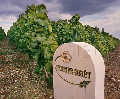 Marker stone of PerrierJout in vineyard at Cramant Marne France Cte des Blancs  Champagne