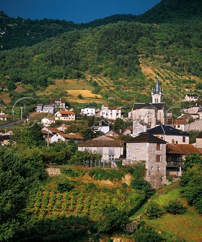 Vineyards around village of La Cresse in the Tarn Valley Aveyron France Ctes de Millau