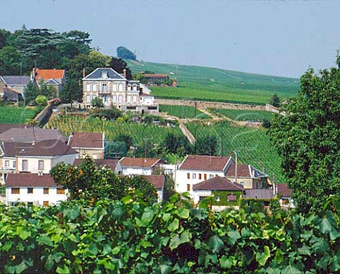Verzy on the Montagne de Reims Champagne