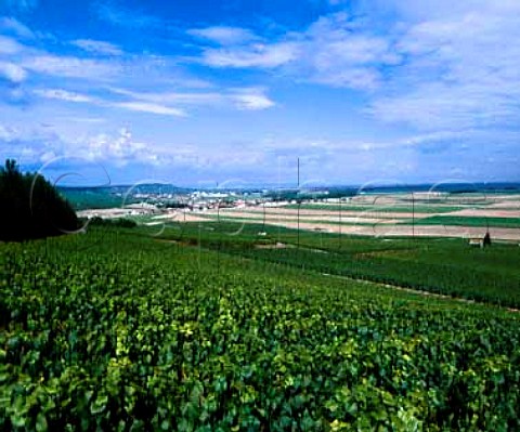 View over vineyards on Mont Aim to BergreslsVertus with Vertus beyond Marne France   Champagne