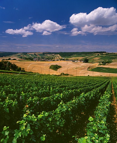 Vineyards and wheat fields around village of NolesMallets   Aube France Champagne