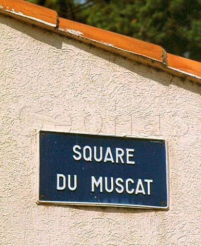 Square du Muscat street sign Frontignan Hrault   France    Muscat de Frontignan