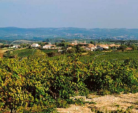 Vineyards and village of Montpeyroux Hrault   France  Coteaux du Languedoc Montpeyroux