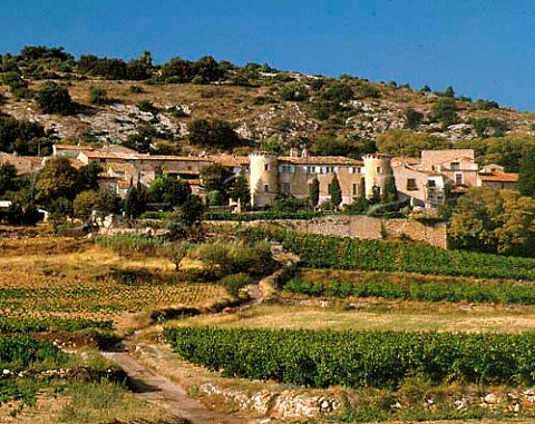 Vineyards and village of Arboras Hrault France  Coteaux du Languedoc