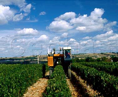 Machine harvesting of Cabernet Sauvignon grapes at Chteau Pierron Nrac   LotetGaronne France  Buzet