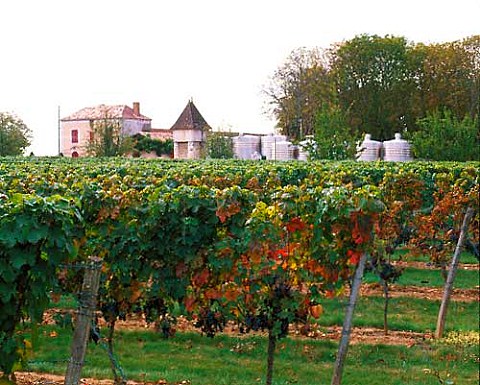 Vineyard at Chteau la Jaubertie Colombier   Dordogne France   Bergerac  Monbazillac
