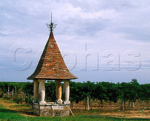 Well by vineyard of Chteau la Jaubertie Colombier   Dordogne France   Bergerac  Monbazillac