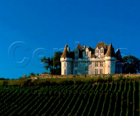 Vineyard below Chteau de Monbazillac   Dordogne France   Monbazillac  Bergerac