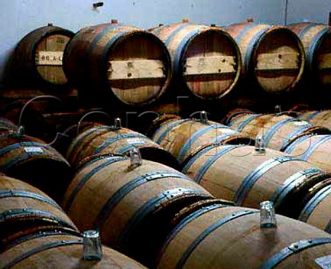 Fermentation in new oak barriques in chais of   Chateau la Jaubertie Colombier Dordogne   ACsBergerac and Monbazillac