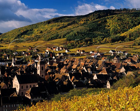 Riquewihr viewed from the Schoenenbourg vineyard HautRhin France Alsace Grand Cru