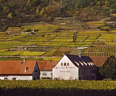 Domaine Faller in Clos des Capucins with the Grand   Cru Schlossberg vineyard beyond Kaysersberg   HautRhin France  Alsace