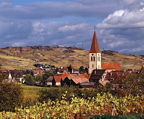 Autumnal vineyards surround the village of   Ammerschwihr HautRhin France   Alsace