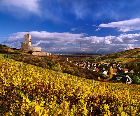 Katzenthal village and Chteau de Wineck viewed from the WineckSchlossberg vineyard HautRhin France Alsace Grand Cru