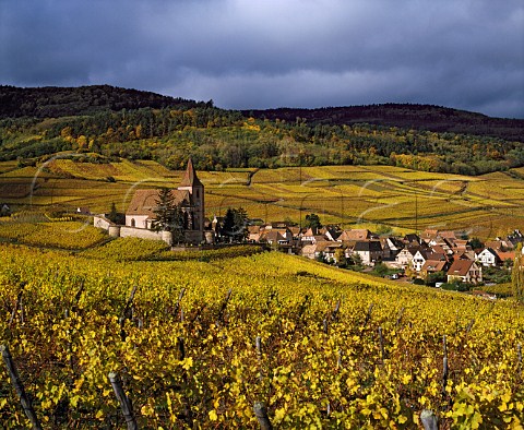 Hunawihr and its 15thcentury fortified church with   the Rosacker vineyard beyond   HautRhin France  Alsace