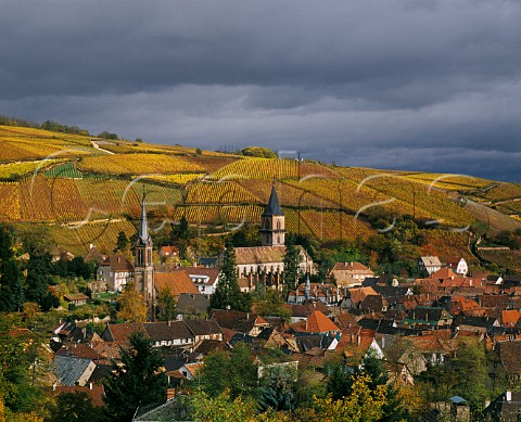 Kirchberg Geisberg and Osterberg vineyards on the hill above Ribeauvill HautRhin France Alsace Grand Cru  