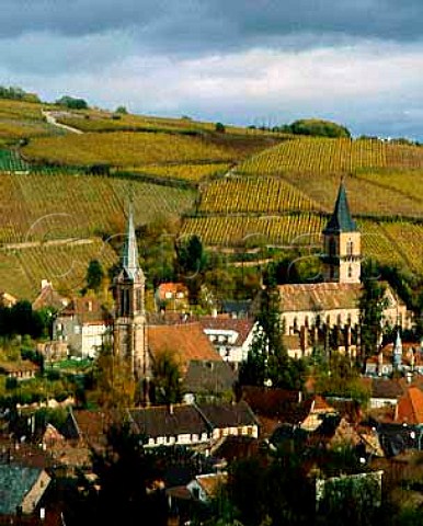 Ribeauvill HautRhin France The hill behind the   town has on its slopes the Kirchberg Zahnacker and   Geisberg vineyards   Alsace Grand Cru
