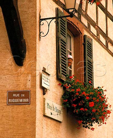 Geraniums in window box of house in the wine village   of Hunawihr HautRhin France   Alsace
