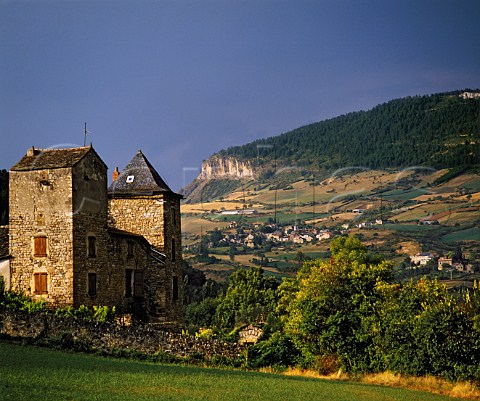 Near RiviresurTarn with vineyards on the slopes   of the Tarn Valley in the distance   North of Millau Aveyron France      Gorges et Ctes de Millau