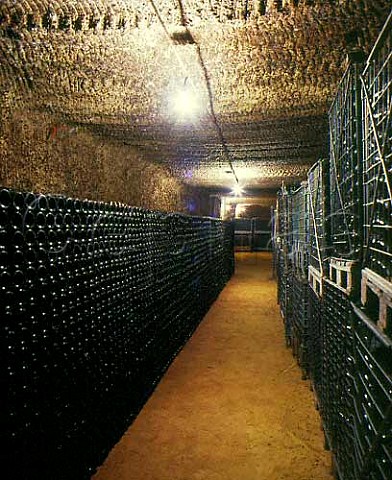 Bottle cellar cut from the tuffeau subsoil at    Domaine de Beausejour Panzoult IndreetLoire   France   AC Chinon